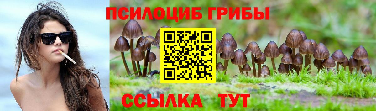 Галлюциногенные грибы Psilocybe  Вход с VPN  Глазов 