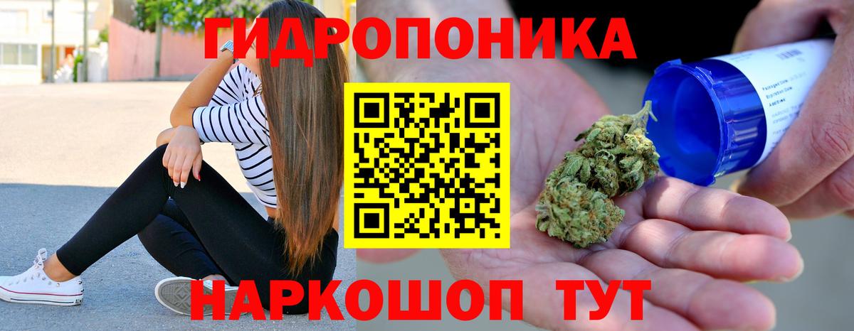 Бошки Шишки семена Глазов